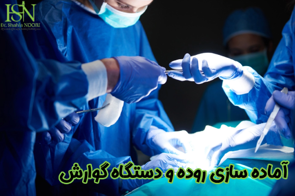 آماده سازی روده و دستگاه گوارش